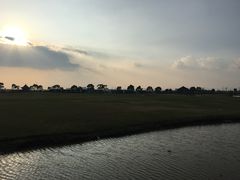 -上海都市菜园
