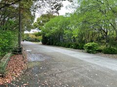 -胜华驾校·小猫学车(银都店)