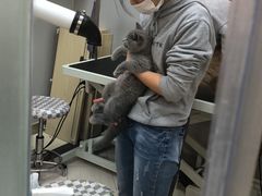 -PETKIT 小佩宠物·低压洗护·美容·寄养(安远店)