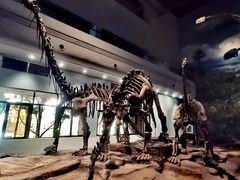 -自贡恐龙博物馆