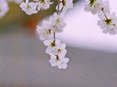 -颐和园