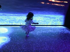 -悉尼海洋生物水族馆
