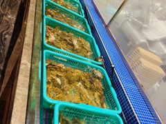 -丰卓会海鲜自助(中润大道店)