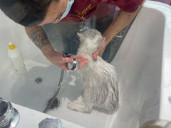 -FAELING PETS美天灵宠物(富力广场店)