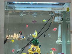 -海底捞大排档火锅(悦荟广场店)