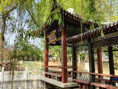 -桃花堤公园