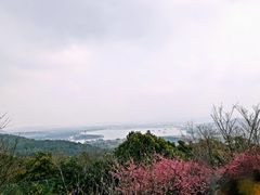 景点-香雪海