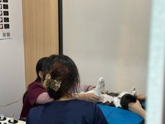 -中国农业大学动物医院