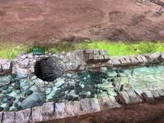 -南越王博物院(王宫展区)