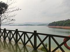 -广州市流溪河国家森林公园