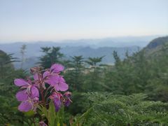 -白草畔自然风景区