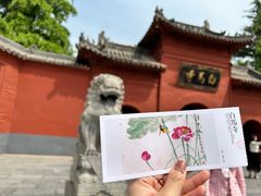 -洛阳白马寺
