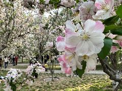 -元大都城垣遗址公园