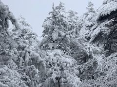 -峨眉山风景名胜区