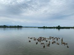 -野鸭湖国家湿地公园
