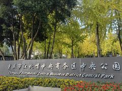 -重庆市江北嘴中央商务区中央公园