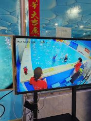 -子木乐园婴儿游泳馆(水晶港店)