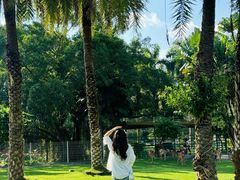 -东南花都花博园