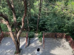 -青龙山国家森林公园