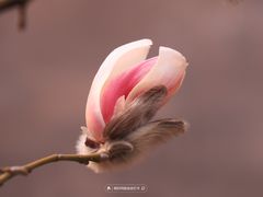 -东华门大街小区