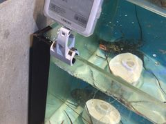 -盒马鲜生(杭州运河上街店)