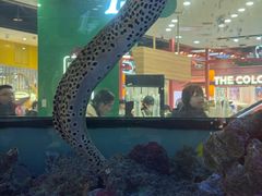 -凯德广场(学府店)