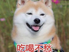 -绿茶餐厅(城西银泰城店)