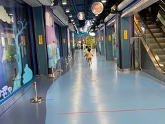 -中国宋庆龄青少年科技文化交流中心
