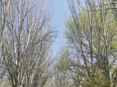 -青城公园