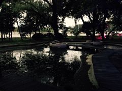 -枫花园汽车电影院(朝阳公园店)