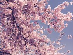 -捷克克鲁姆洛夫城堡