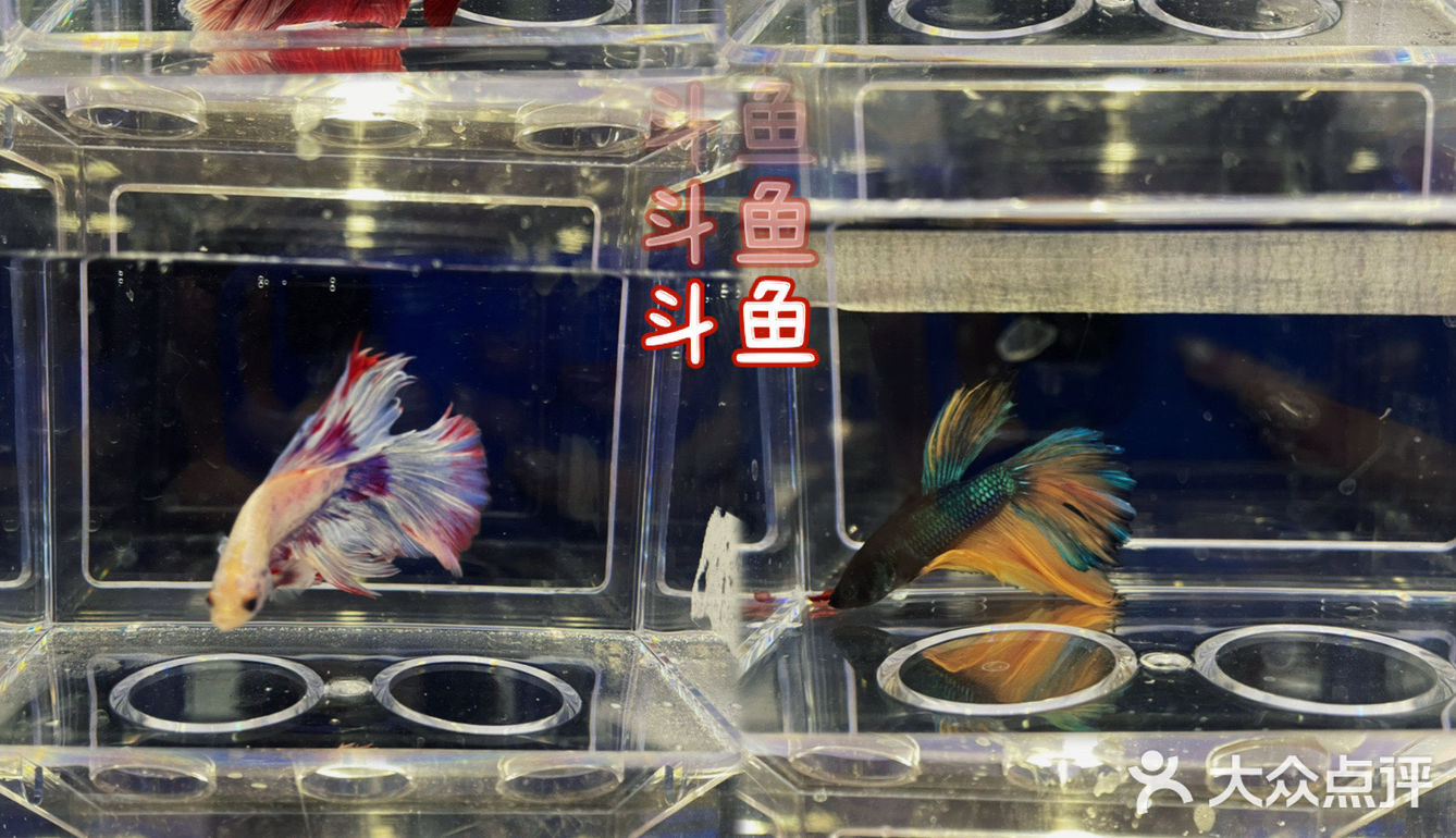 有种生物｜0⃣️抵抗力的生物店，有种就来