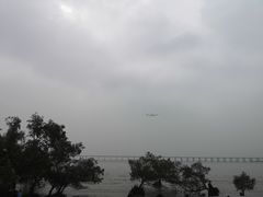 -宝安西湾红树林湿地公园