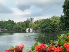 -荔湾湖公园