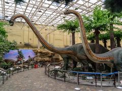 -国家自然博物馆