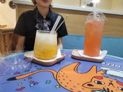 霞光-滚猫咖啡·猫咖·猫友好撸猫(未来城店)