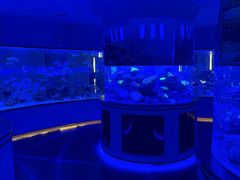 -上和臻品中国菜(花园街店)