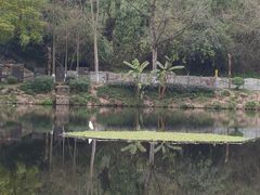 -重庆彩云湖湿地公园