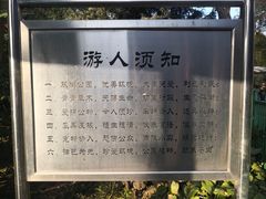 -双榆树公园