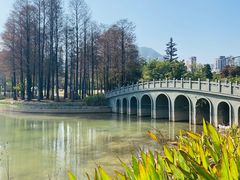 -四海公园(南山区)