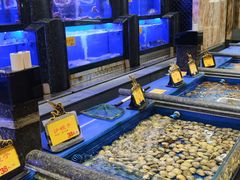 -万宝海鲜舫(劳动公园店)