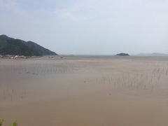 -北岐滩涂
