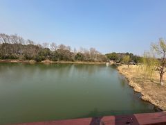 -南湖湿地公园