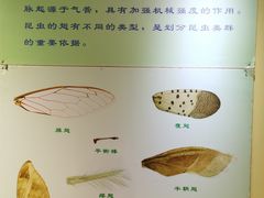 -上海昆虫博物馆