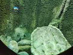 -太平洋海底世界