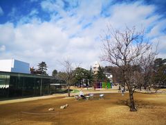 -金泽21世纪美术馆