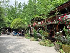 -青城甲(青城山店)