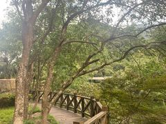 -天明山温泉大酒店