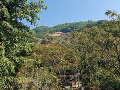 -东莞市大岭山森林公园