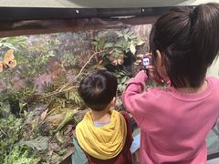 -国家自然博物馆